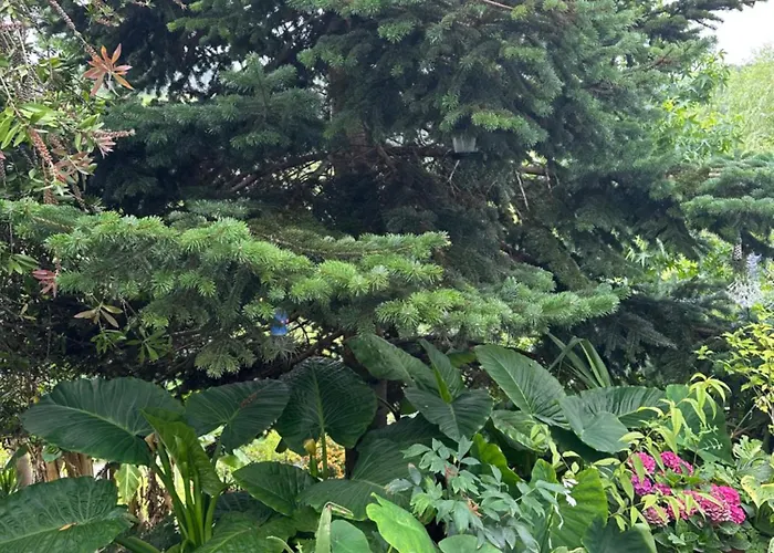 Holiday home La Casuca Del Calero *